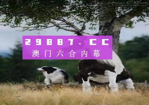 新澳门今晚必开一肖一特-准确资料解释落实