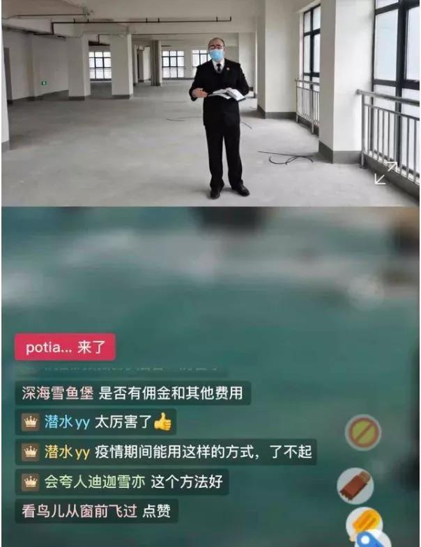 海盐土地拍卖最新动态，揭示热点与未来趋势