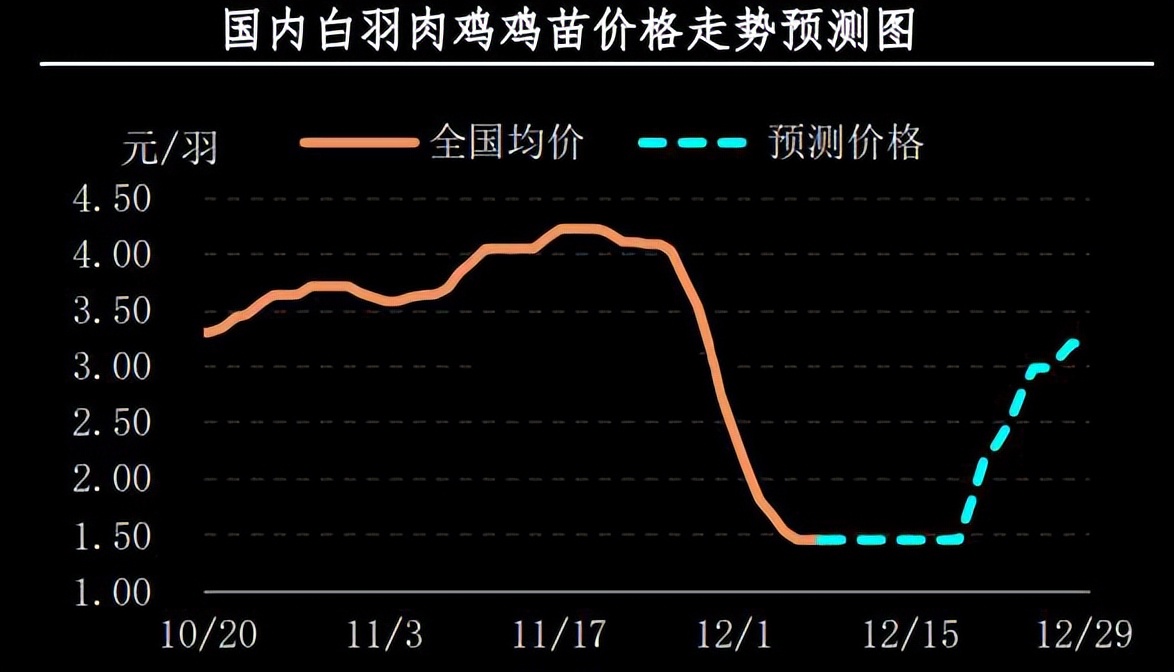 山东最新毛鸡价格动态分析