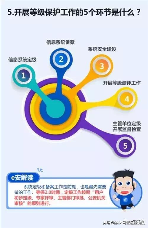 安全网最新版，构建更安全的网络环境